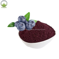 Best quality blueberry fruit juice powder